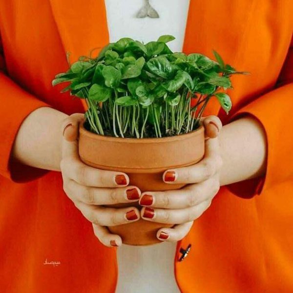 عکس پروفایل پسرانه شیک و جدید