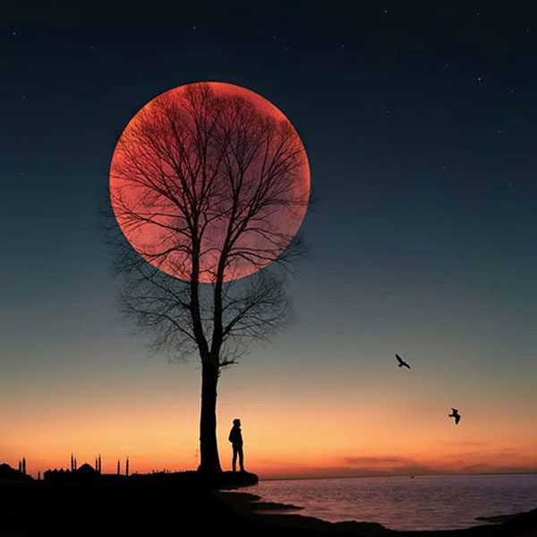 عکس پروفایل جدید و خفن