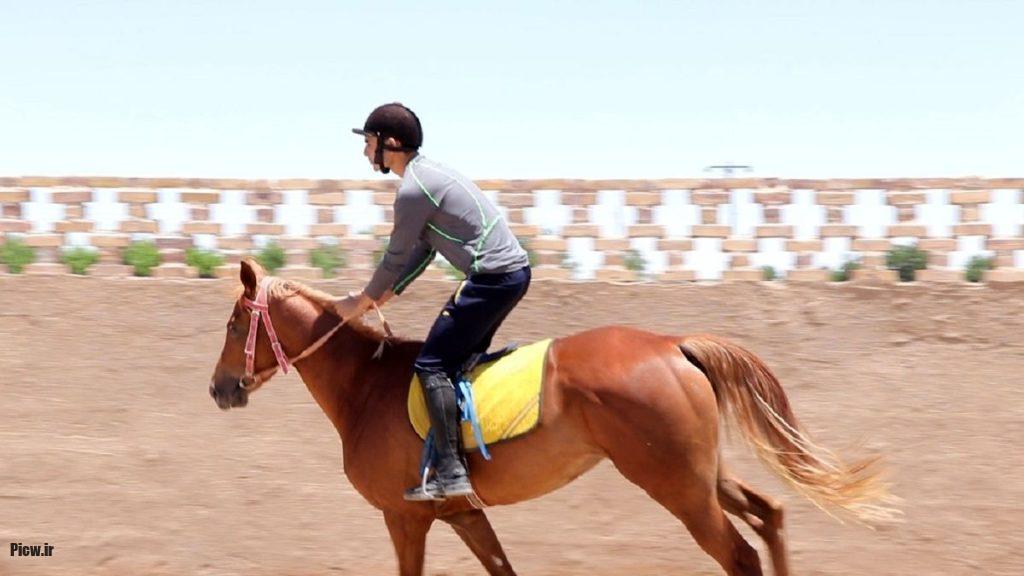 فواید سوارکاری برای انسان