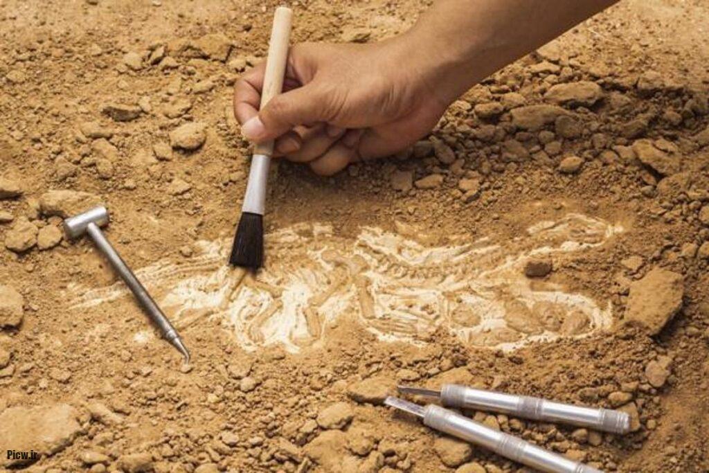 کشف ابزارهای باستانی