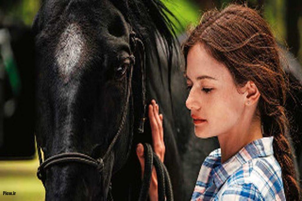 اسب در فیلم‌ها و سریال‌ها