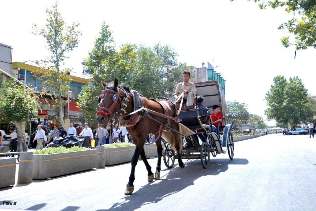 حمل‌ونقل با اسب