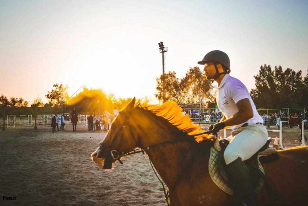 فواید سوارکاری برای انسان