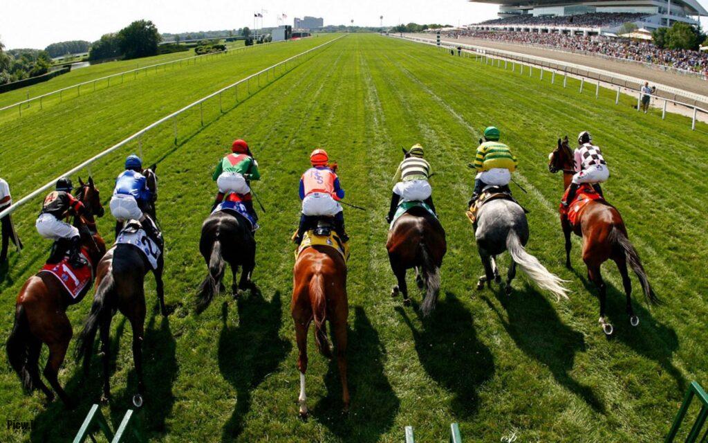 اسب‌های سرعتی و مسابقه‌ای