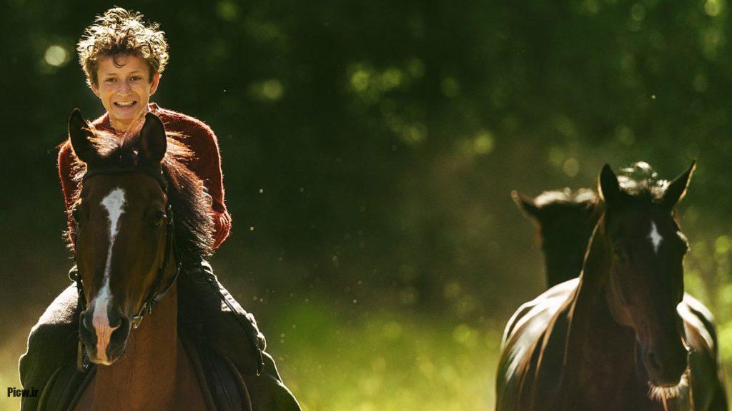 اسب در فیلم‌ها و سریال‌ها