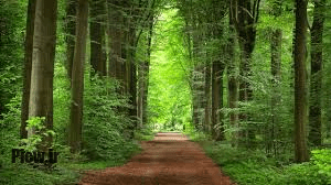 عکس طبیعت