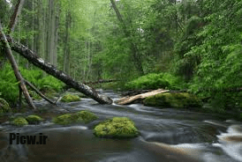 عکس طبیعت