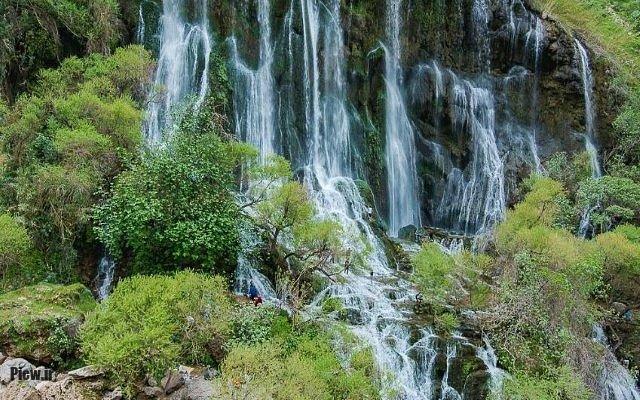 شوی خوزستان