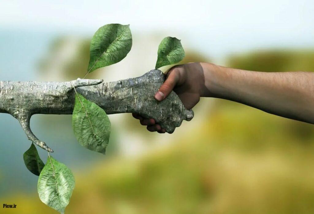 تأثیر طبیعت بر سلامت روح