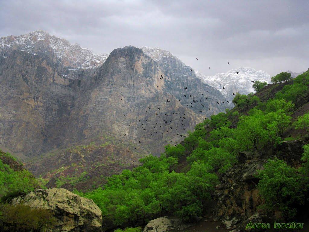 دره عشق ماسال