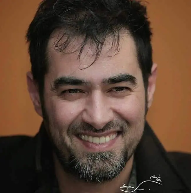 شهاب حسینی (2)