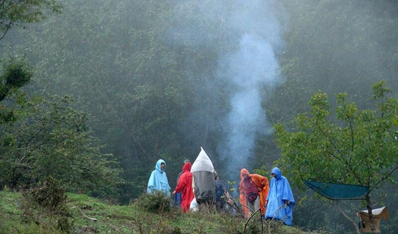 جنگل ابر سمنان جنگل ابر سمنان