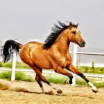 اسب‌های ایرانی