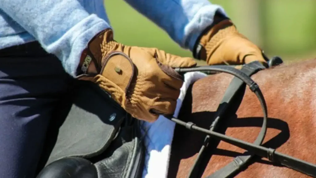 تجهیزات سوارکاری