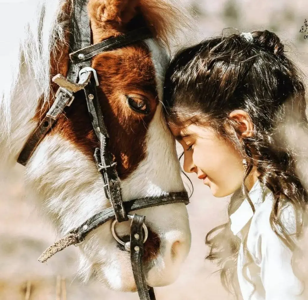 کوچک‌ترین نژادهای اسب جهان