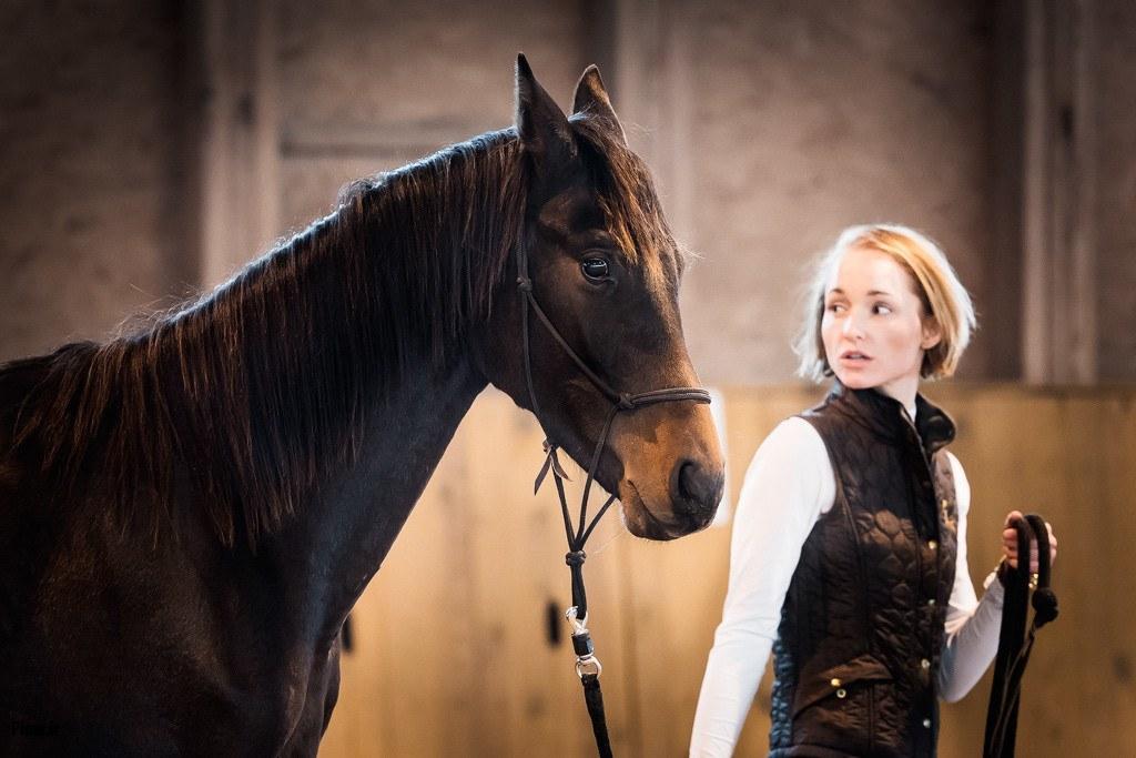 رفتارشناسی اسب‌ها