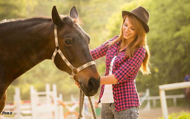 اسب‌های سرعتی و مسابقه‌ای