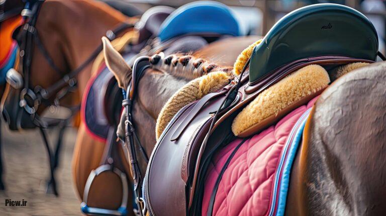 تجهیزات سوارکاری