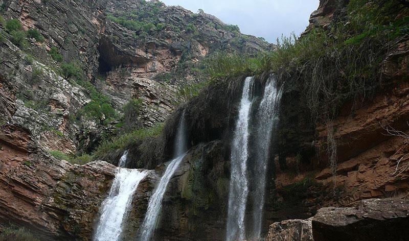 شوی خوزستان