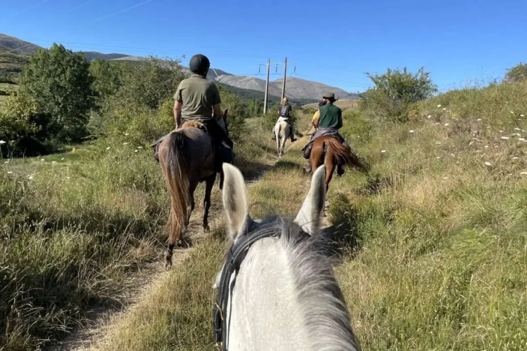 حمل‌ونقل با اسب