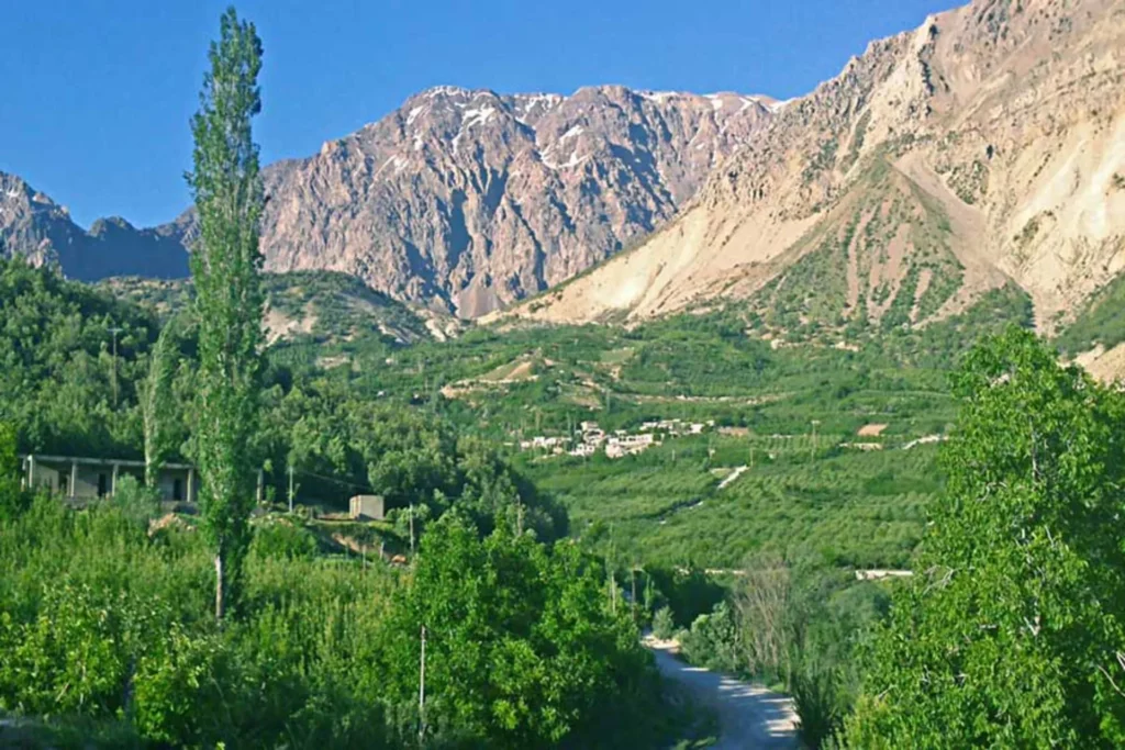 کوه دنا