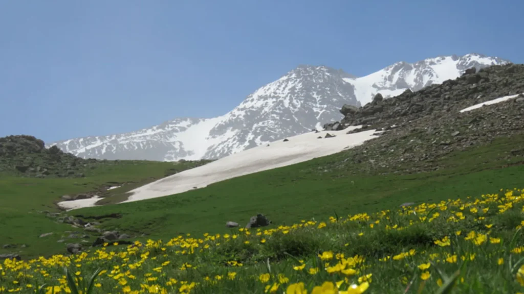 کوه سبلان