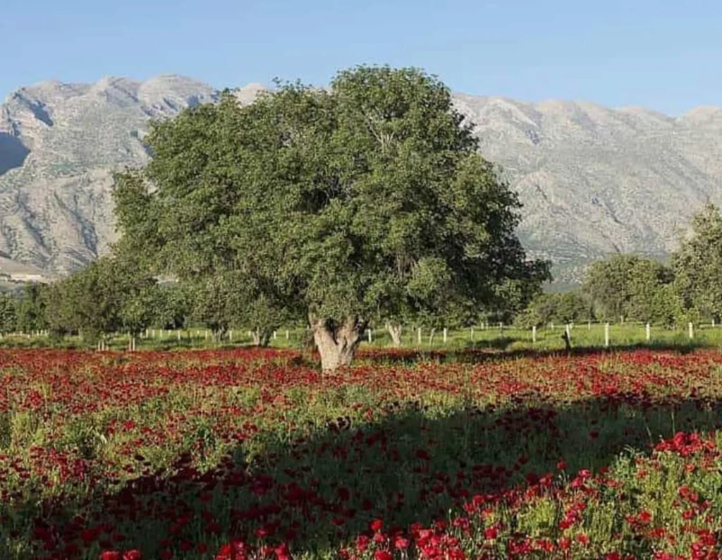 دریاچه پریشان