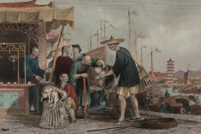 تاریخ شرق آسیا