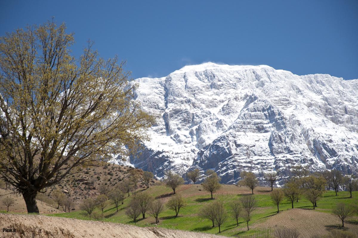 کوه دنا