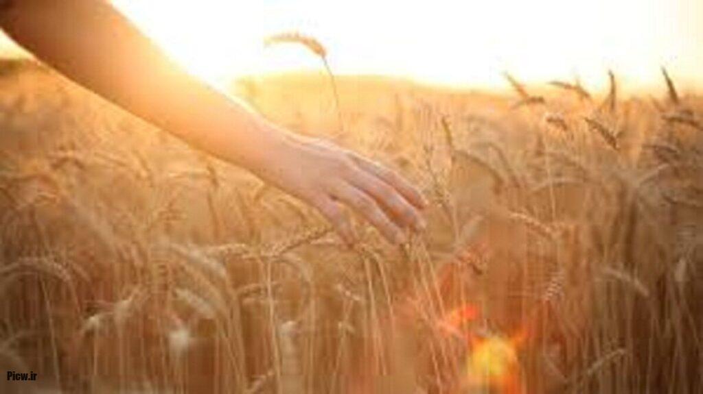 روز خوش‌یمن