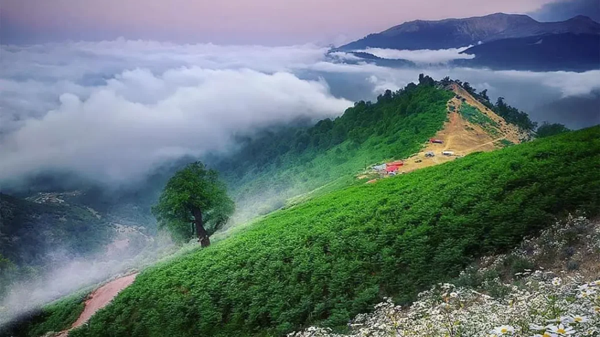 دره عشق ماسال