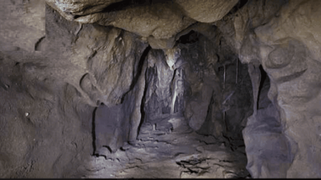 طراحی داخلی در تاریخ