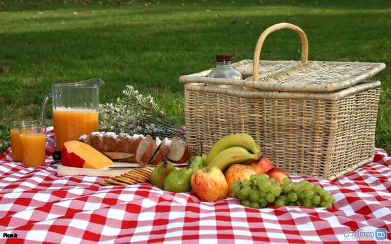 تغذیه سالم در سفر