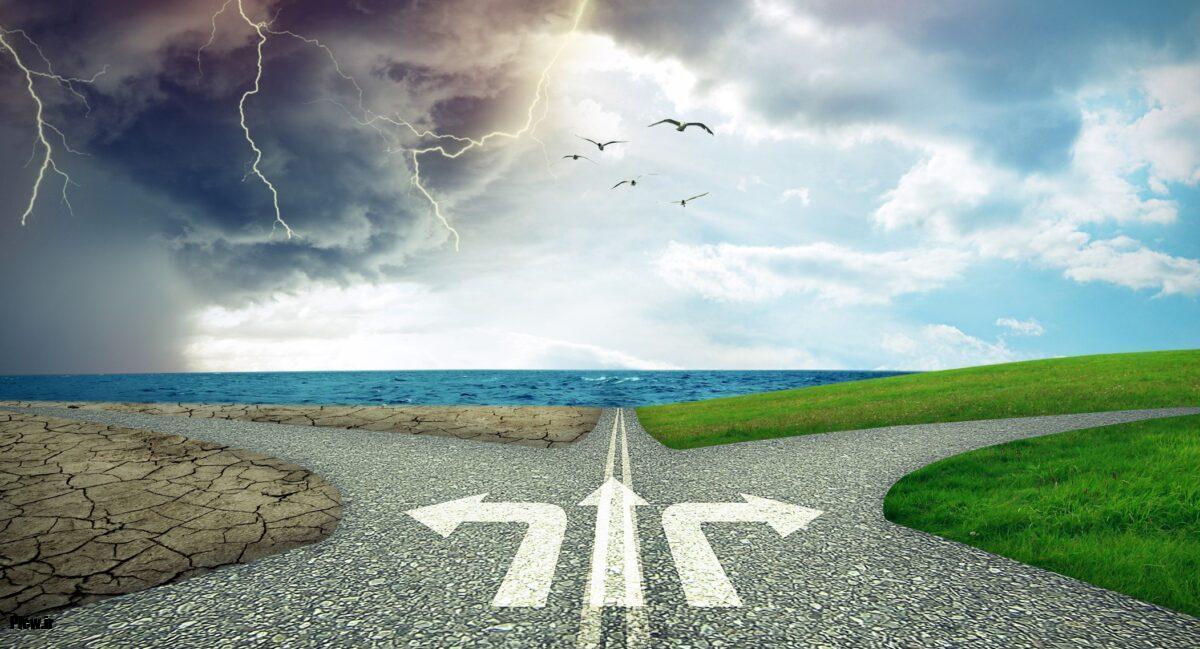 فال انتخاب مسیر زندگی