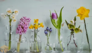 افزایش عمر گل‌های شاخه بریده