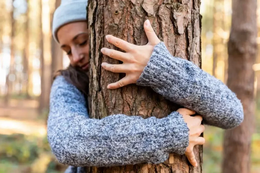 چگونه با طبیعت ارتباط برقرار کنیم